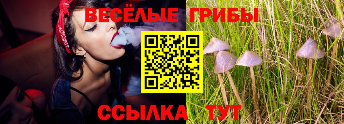 Псилоцибиновые грибы GOLDEN TEACHER  Вход с VPN  купить закладку  Глазов 